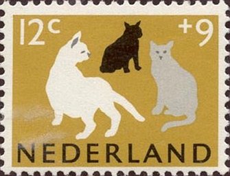 Paesi Bassi - 1964