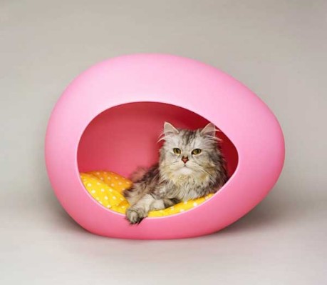 pei pod per gatti