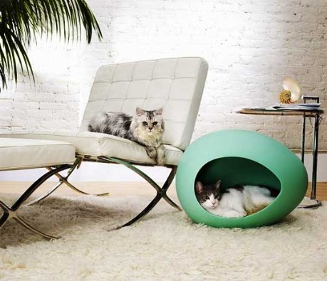 pei pod per gatti