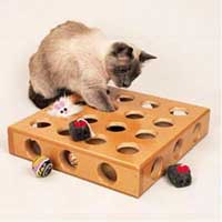 giochi gatti